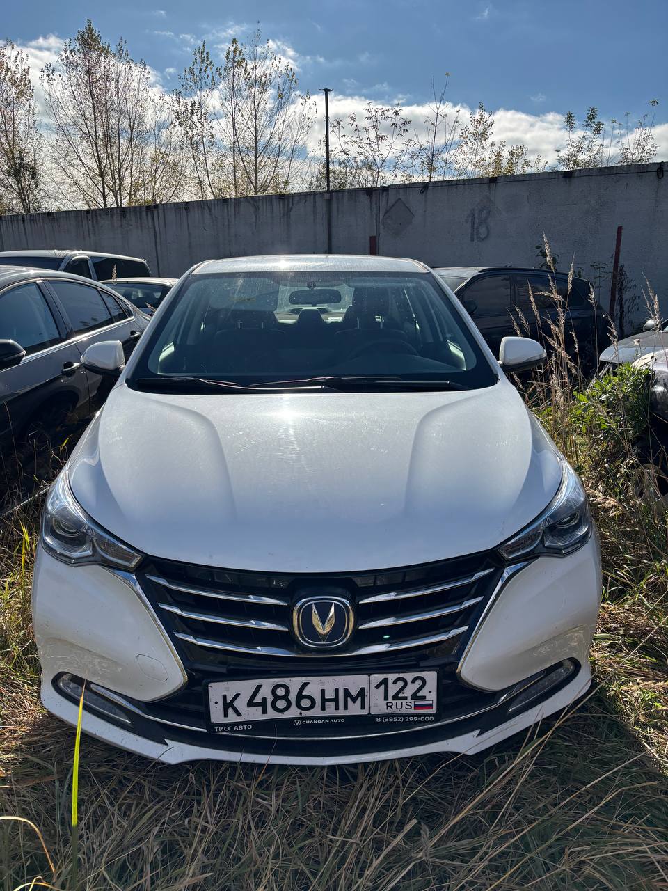 Changan Alsvin